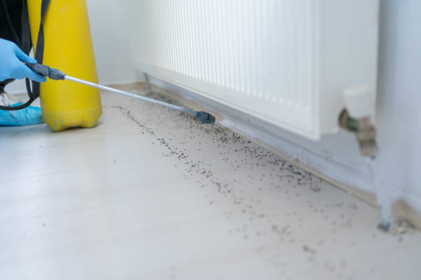  South Waverly, PA Pest Control Pros
